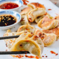 Vegetable Dumplings, by cold2.fioekdjsdas.cf