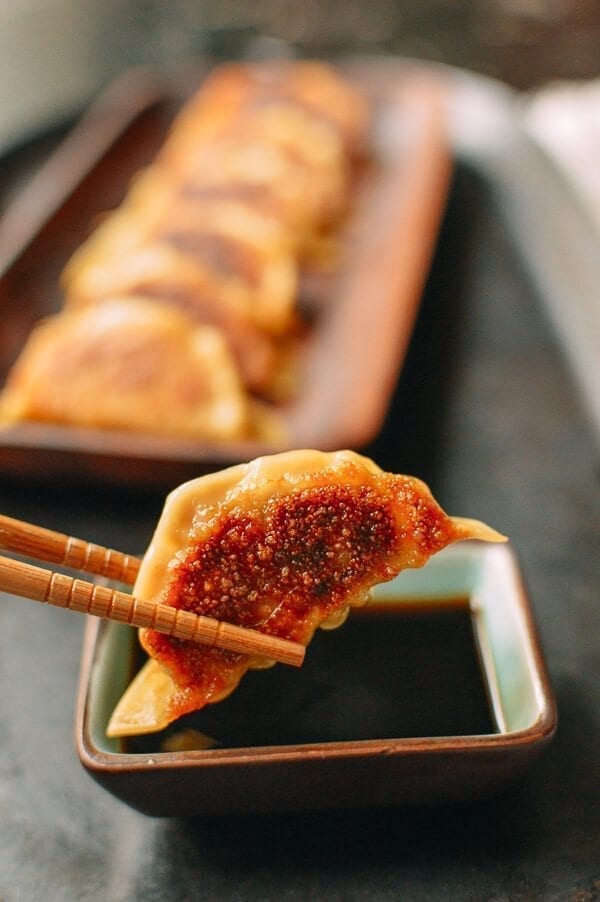 Japanese Gyoza Dumplings, by cold2.fioekdjsdas.cf