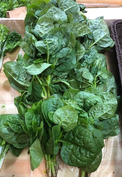 malabar-spinach by cold2.fioekdjsdas.cf