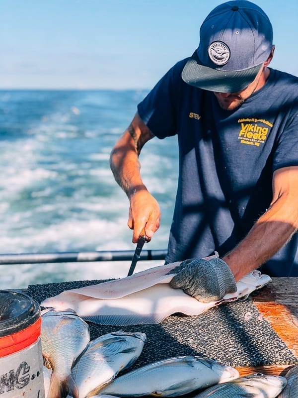 Filleting fluke on boat, cold2.fioekdjsdas.cf
