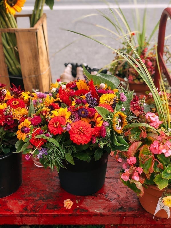 Hamptons Farm Stand Flowers, cold2.fioekdjsdas.cf
