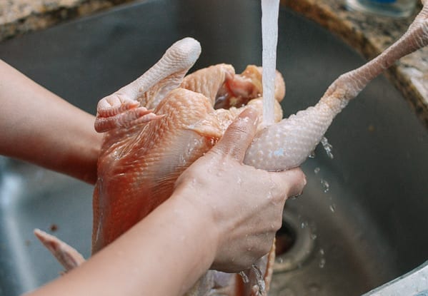 Rinsing chicken cavity, cold2.fioekdjsdas.cf