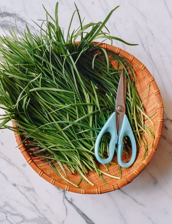 Garlic Chives in basket, cold2.fioekdjsdas.cf