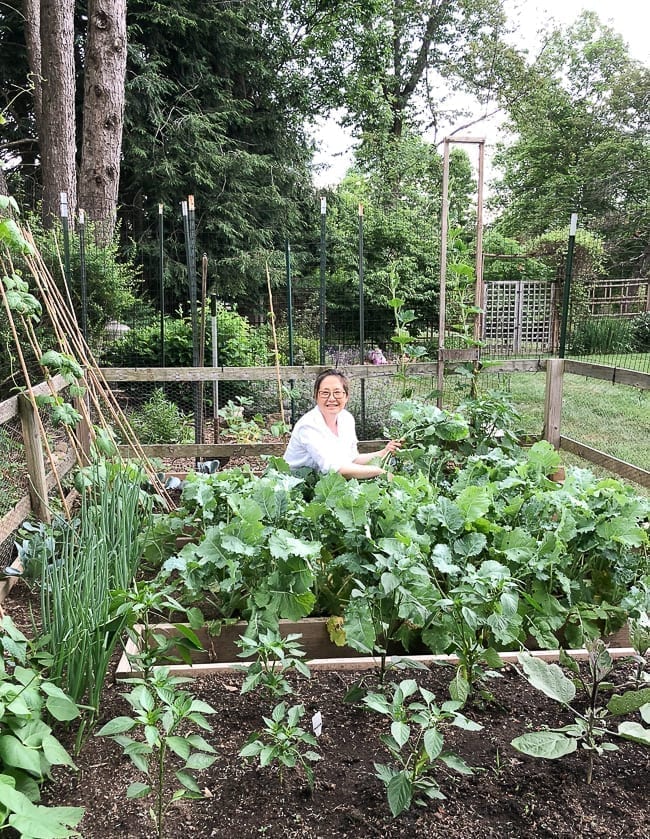 Vegetable Garden Tour!